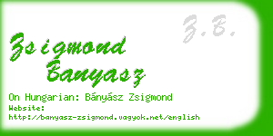 zsigmond banyasz business card
