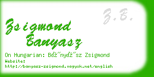 zsigmond banyasz business card